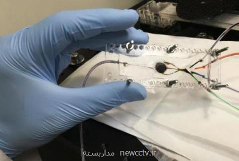 دانشمند ایرانی برای بافت مصنوعی چاپگر سه بعدی ابداع كرد