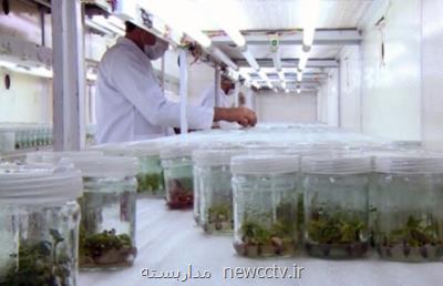 158 اولویت پژوهشی زیست فناوری شناسایی شد