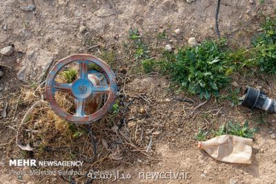 پتانسیل شركتهای دانش بنیان در رفع چالش های حوزه كشاورزی