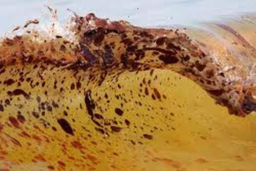 ساخت دستگاه تشخیص آلودگی آب و نفت با دقت ۱۰ نانومتری