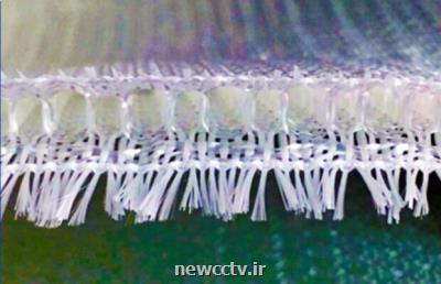 پارچه های سه بعدی بافته شده از نخ شیشه تولید شد