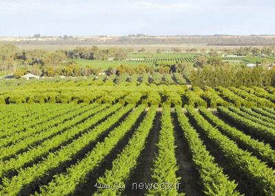 فراخوان تولید کودهای زیستی و ماندگار منتشر گردید