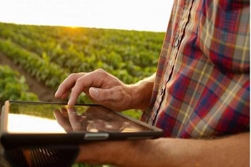 نوآوری های فناورانه برای توسعه کشاورزی هوشمند حمایت می شوند