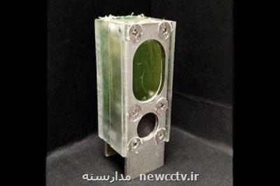 تولید برق از جلبک برای تامین انرژی کامپیوتر