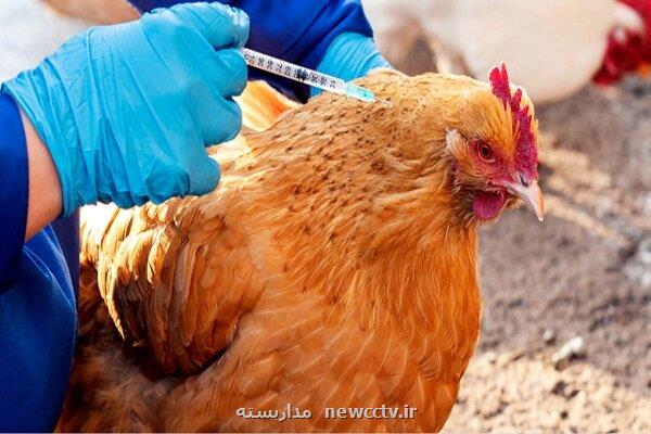 خوداتکایی با اجرای 18 پروژه در عرصه تولید داروها و واکسن های دام