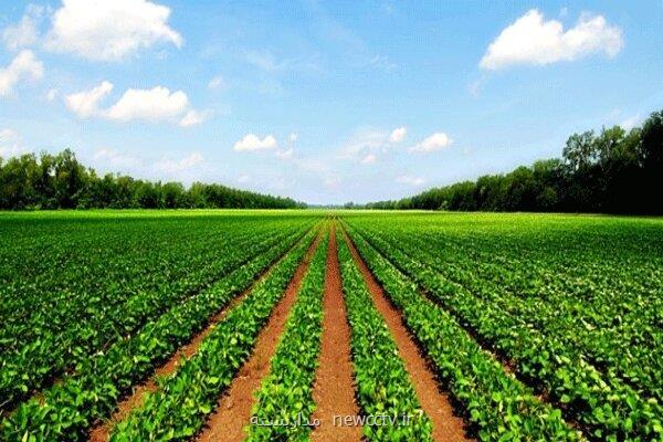 ۹ پروژه ملی برای توسعه کشاورزی زیستی اجرا می شود