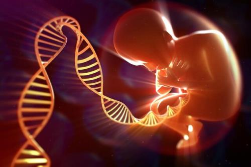 پدر یا مادر کدام یک مسئول جهش های ژنتیکی فرزند هستند؟