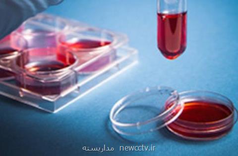 سرمایه گذاری روی ۲ دانشگاه برای دستاوردهای درمانی در حوزه سلول