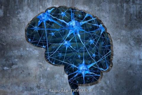 كشف تاثیر تغییر تركیبات موجود در سلول مغز بر یادگیری و حافظه