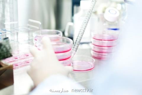 چگونگی تكوین سلول های گلیالی مغز بررسی گردید