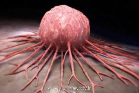 سمپوزیوم سرطان و سلول های بنیادی برگزار می گردد