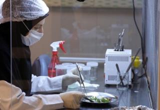 صادرات 35 میلیون یورویی شركت های فناور به 21 كشور