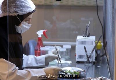 صادرات 35 میلیون یورویی شركت های فناور به 21 كشور