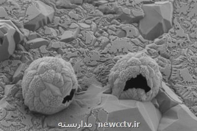 دارورسانی نوین به منظور هدف قرار دادن تومورهای سرطانی