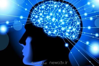 نشست علمی انسان، توانمندی های ذهنی و شناختی برگزار می گردد
