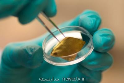 تولید كیت های تشخیص طبی با نانوذرات طلای ایرانی