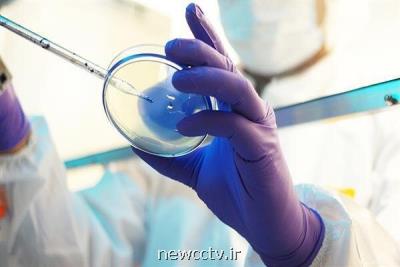 طرح های حوزه چاپگرهای زیستی گسترده تر می شود