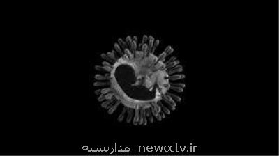 تاثیر كرونا بر باروری اثبات نشده است
