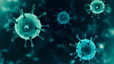 تجاری سازی نانوپوششی كه ویروس ها را از بین می برد