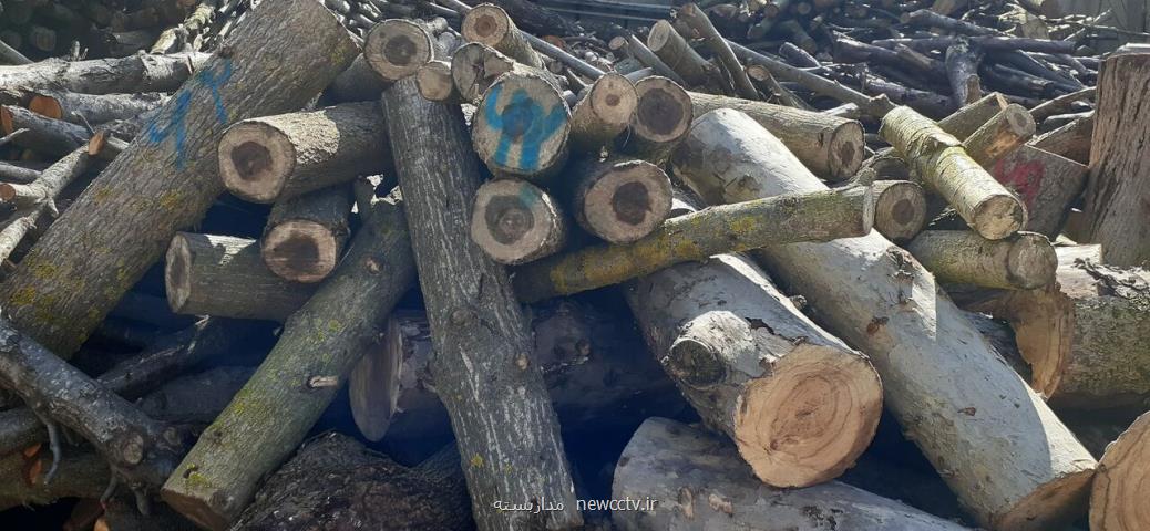 تولید چوب حرارتی با حمایت صندوق نوآوری و شكوفایی